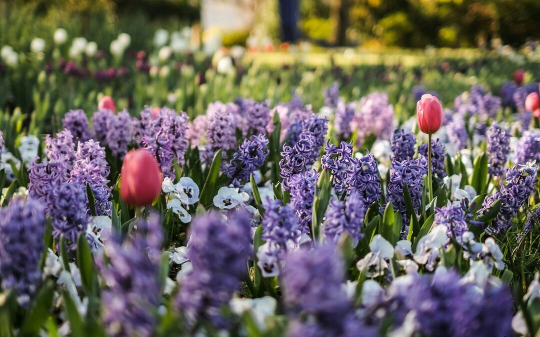 Spring selling season is here. What’s different in 2026?