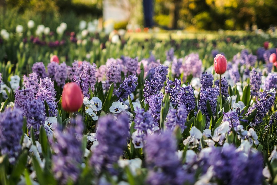 Blog 1100x733 Spring 2026